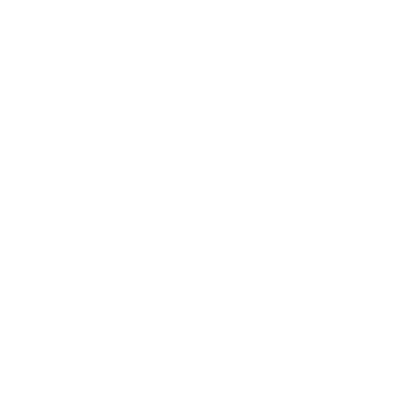 Arrow Left Icon White